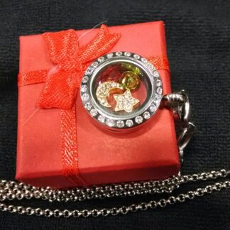 Petite silver finish locket with gold finsh moon and star paired with red and green floating charm gems