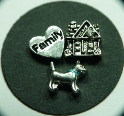 Family Floating Charms for Memory Lockets