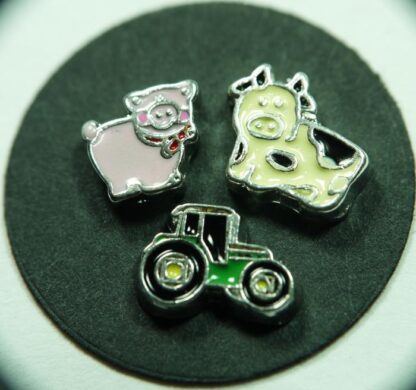 Farm Floating Charms for Memory Lockets