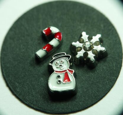 Christmas Floating Charms for memory lockets