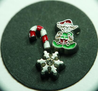 Christmas Floating Charms